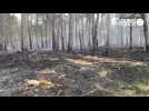 VIDÉO. Cet été, les pompiers en vigilance permanente sur les feux de forêt