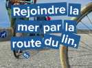 Suivre la route du lin pour rejoindre Veules-les-Roses