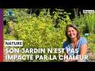 Ce jardin n'est pas impacté par la chaleur