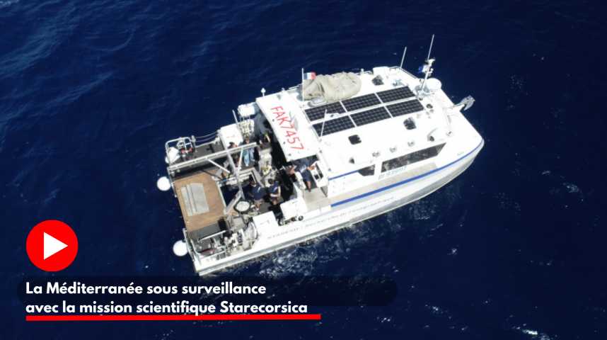 Μεσόγειος: Η επιστήμη για τη βοήθεια ενός εύθραυστου οικοσυστήματος, η Starecorsica αναλαμβάνει δράση.