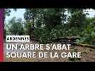 Charleville-Mézières: un arbre s'abat à cause de l'orage, square de la gare