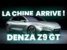 Une VOITURE avec 9 ÉCRANS et 2 FRIGOS ? Retour d'expérience de la DENZA Z9 GT