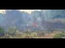 VIDÉO. Feu de végétation au Pellerin : les pompiers en cours d'intervention