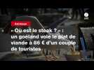 VIDEO. « Où est le steak ? » : un goéland vole le plat de viande à 86 ¬ d'un couple de touristes