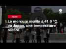 VIDEO. Le mercure monte à 41,8 °C au Japon, une température record