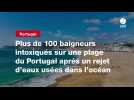 VIDEO. Plus de 100 baigneurs intoxiqués sur une plage du Portugal après un rejet d'eaux usées dans l'océan