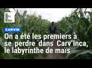 On a été les premiers à se perdre dans Carv'Inca, le labyrinthe de maïs d'une agricultrice
