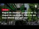 VIDEO. Vague de chaleur : jusqu'à 40 °C, risque de canicule... Voici ce qui vous attend jour par jour