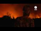 VIDÉO. Incendie géant dans l'Aude : 11 000 hectares brûlés, un mort, un disparu
