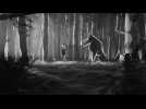 Pierre et le loup