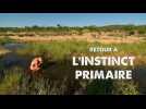 Retour à l'instinct primaire : Restons groupés