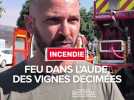 Feu dans l'Aude - Vignes décimées