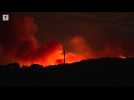 Feu d'une intensité exceptionnelle dans l'Aude : 16 000 hectares ravagés