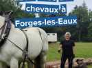 Débardage du bois à Forges-les-Eaux