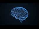 Ce que la chaleur extrême fait à notre cerveau