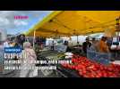 Le marché de Dunkerque, entre histoire, saveurs locales et convivialité