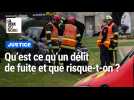 Délit de fuite, refus d'obtempérer : quelles différences ?