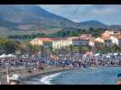 La 30em Fêtes des vendanges de Banyuls-sur-mer : traditions, partage, et convivialité