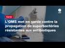 VIDEO. L'OMS met en garde contre la propagation de superbactéries résistantes aux antibiotiques