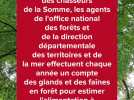 Comptage des glands et des faînes en forêt de Crécy