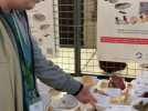 Bailleul : un spécialiste nous parle des champignons