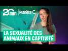 Sexualité et animaux en captivité : que se passe-t-il dans les enclos ?