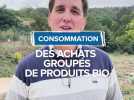 Achats groupés de produits bio