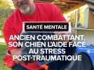 Ancien combattant, son chien l'aide face au stress post-traumatique