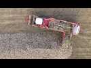Agriculture machine à arracher les betteraves