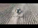 Agriculture un tracteur au travail dans un champs
