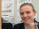 Viteff : un carnet de tendances de la Champagne