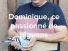 À Coudekerque-Branche, Dominique nous raconte sa passion pour la colombophilie