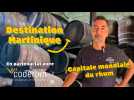 Destination Martinique : Capitale mondiale du rhum