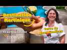 Destination Martinique : Terre de gourmandise