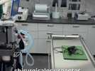 Animaux - Chat en détresse respiratoire, chien avec un problème digestif grave... Une maison des urgences vétérinaires a ouvert près d'Orléans