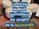 La bûche de Noël qui célèbre les vergers de la Normandie