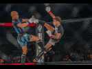 VIDEO MMA. Ceinture mondiale, un Manceau dans la cage... Revivez la soirée de l'AEC 15 à Antarès