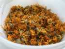 VIDÉO. Près de Granville, ils préparent leur propre sachet de tisane