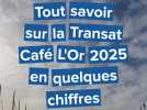 La Transat Café L'Or 2025 en chiffres
