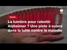VIDEO. La lumière pour ralentir Alzheimer ? Une piste à suivre dans la lutte contre la maladie