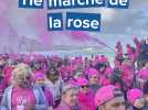 Octobre rose à Fécamp : 1600 coureurs ou marcheurs