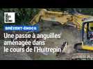 Une passe à anguilles aménagée dans le cours de l'Huitrepin à Bréxent-Énocq