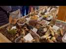 Pilzfest im Naturparkzentrum Botrange