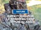 Il photographie le brame du cerf depuis 32 ans
