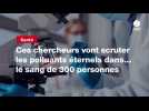 VIDEO. Ces chercheurs vont scruter les polluants éternels dans... le sang de 300 personnes