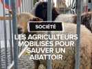 Les agriculteurs du Lot se mobilisent pour qu'un abattoir retrouve son activité