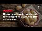 VIDEO. Une production de pommes de terre record en 2025, des prix au plus bas