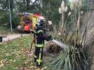 VIDÉO. « On ne sait jamais ce qui va se passer » : en immersion dans une caserne de pompiers