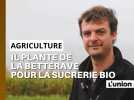 Du champ de betterave à la sucrerie bio