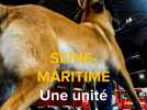 Seine-Maritime : création d'une équipe cynotechnique chez les pompiers